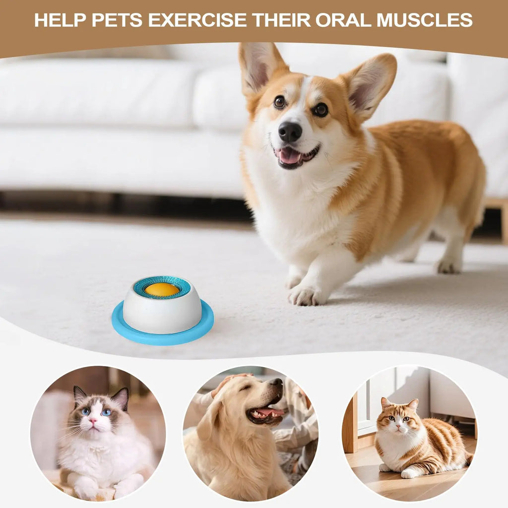 Pet Feeding Accessories Lick & Treat Slow Feeder I Puzzle Toys For Bored Pet I Slow Feeder Puppy Supplies For Healthy Eating Food Crate